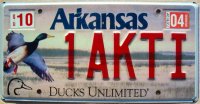 arkansas 2004 ducks unlimited 