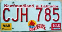 new foundland & labrador 1998 a world of difference