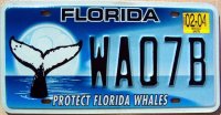 florida 2004 protect florida whales