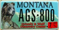 montana 2007 grizzly & wolf