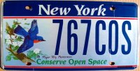 new york conserve open space