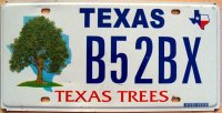 texas texas trees