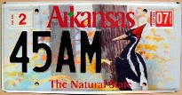 arkansas 2007 woodpecker